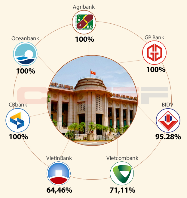5 ngân hàng nhà nước lớn nhất việt nam